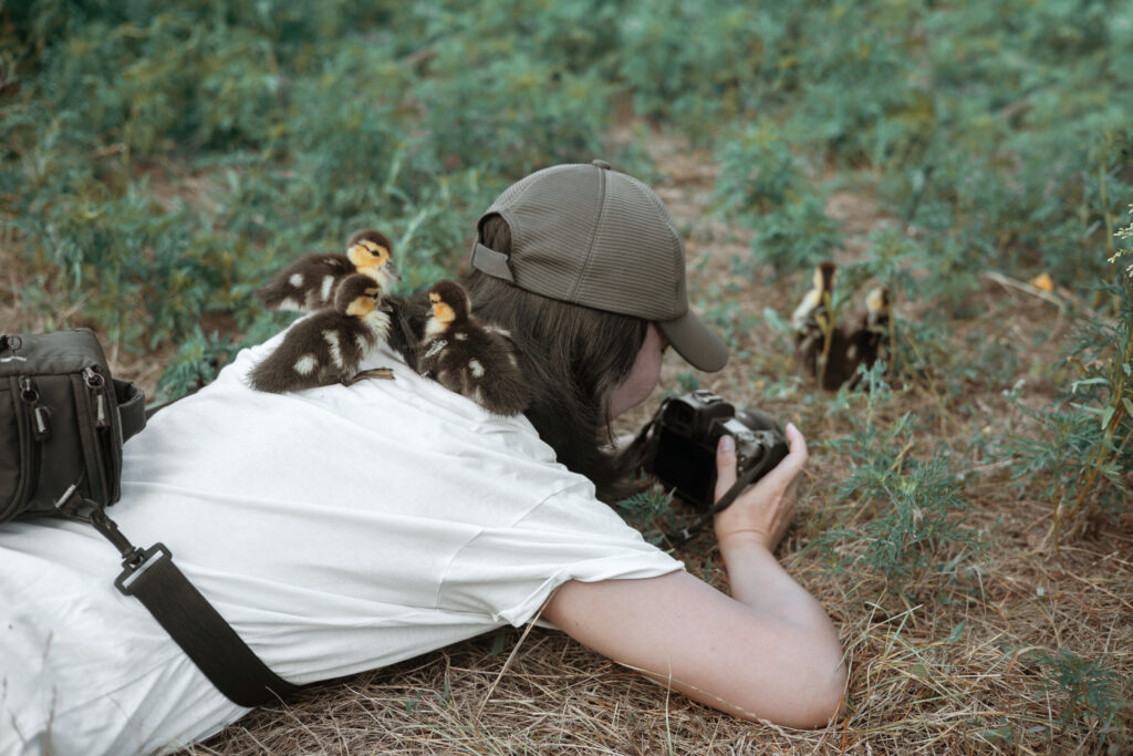 Zasady etyki obserwatora przyrody