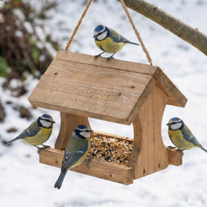 Zima w Ogrodzie: Jak Dbać o Rośliny i Zwierzęta?